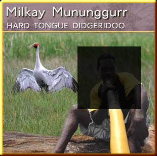 MilkayCover